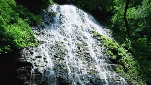 智能化科技高端